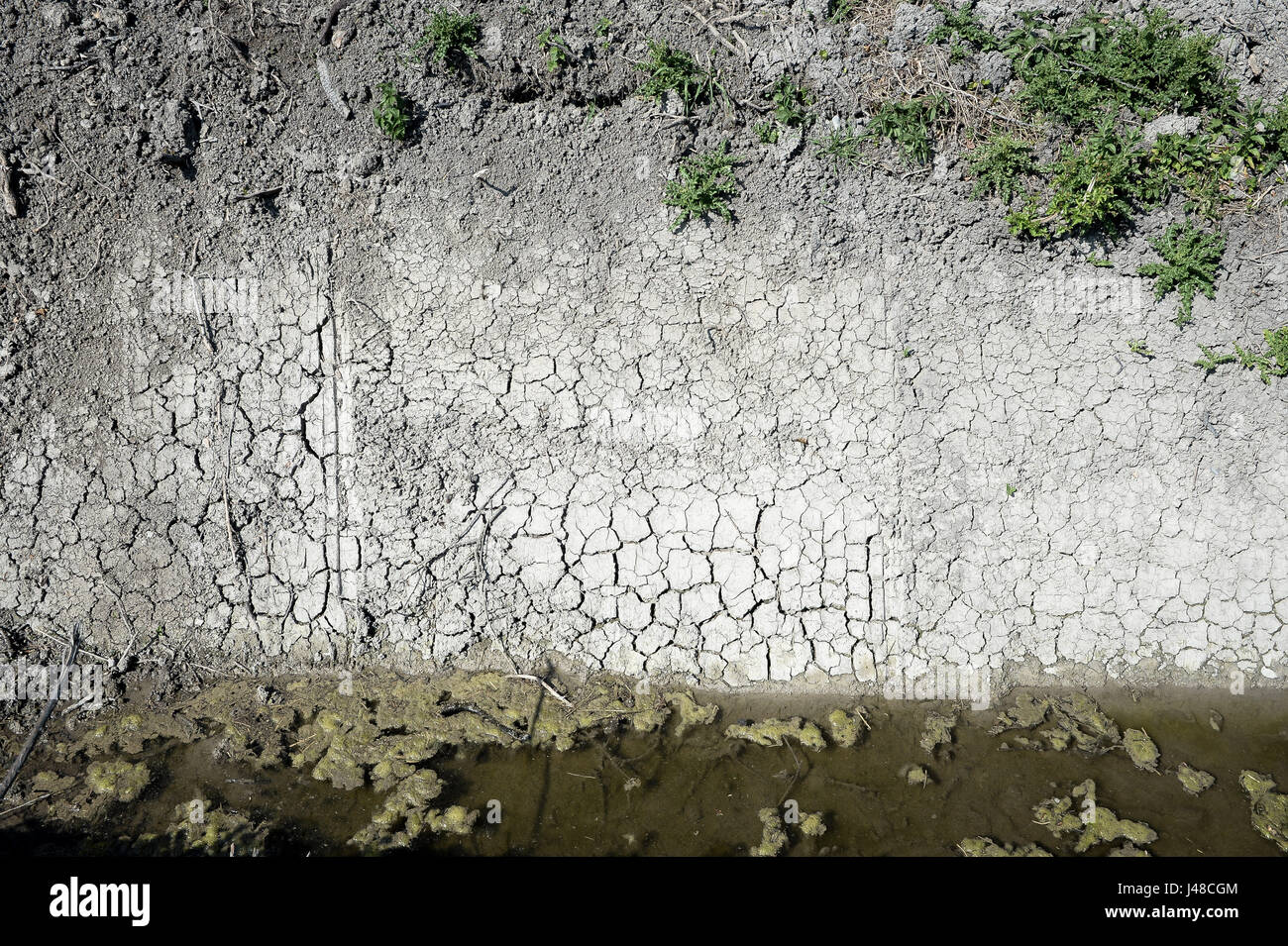 Incrinato il fango è esposta su una fossa di scolo accanto a un campo sul Somerset livelli come crescono i timori per una siccità estiva, a seguito di uno degli inverni più secchi negli ultimi due decenni. Foto Stock