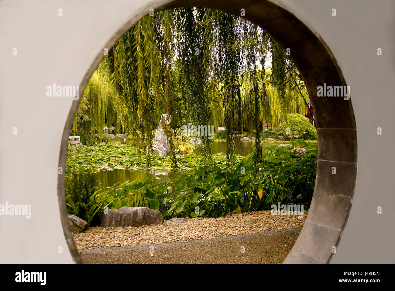 Vista attraverso il 'Moongate', un portale circolare il lago oltre al 'Giardino Cinese di amicizia',Darling Harbour precinct, Sydney, Australia Foto Stock