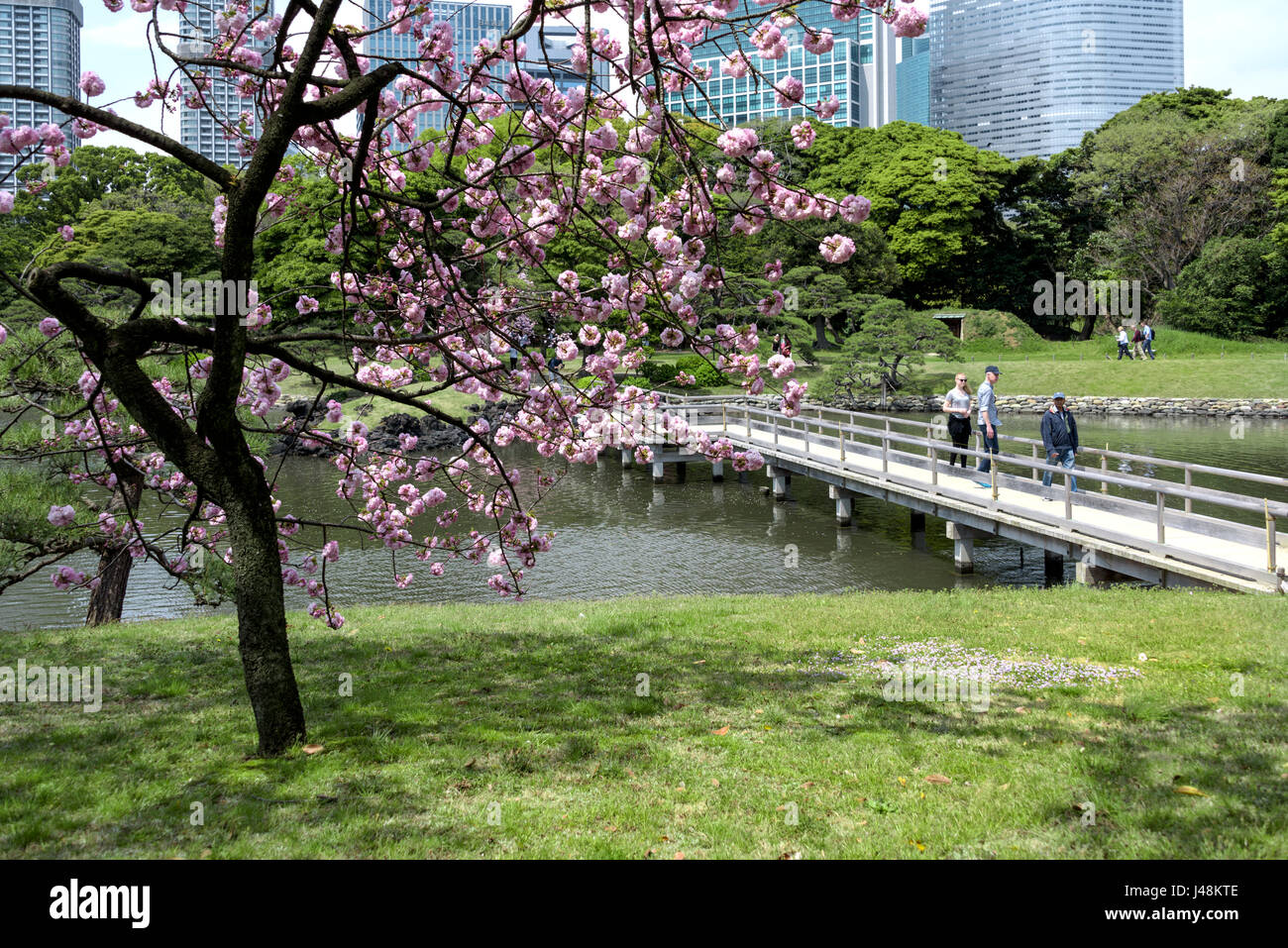 Hama Rikyu giardini paesaggistici di Tokyo. Foto Stock