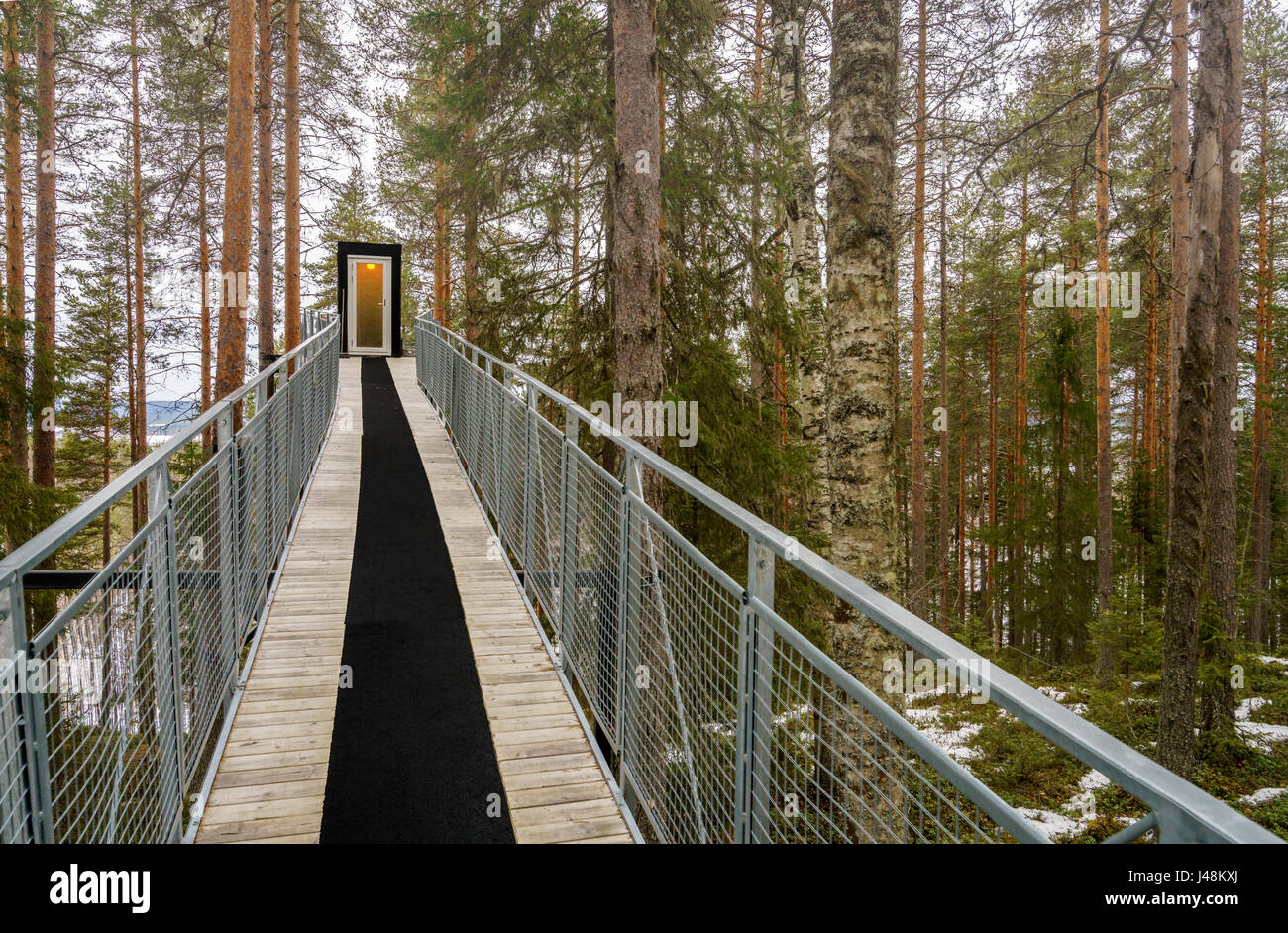 Tree Hotel in Lapponia, Svezia Foto Stock