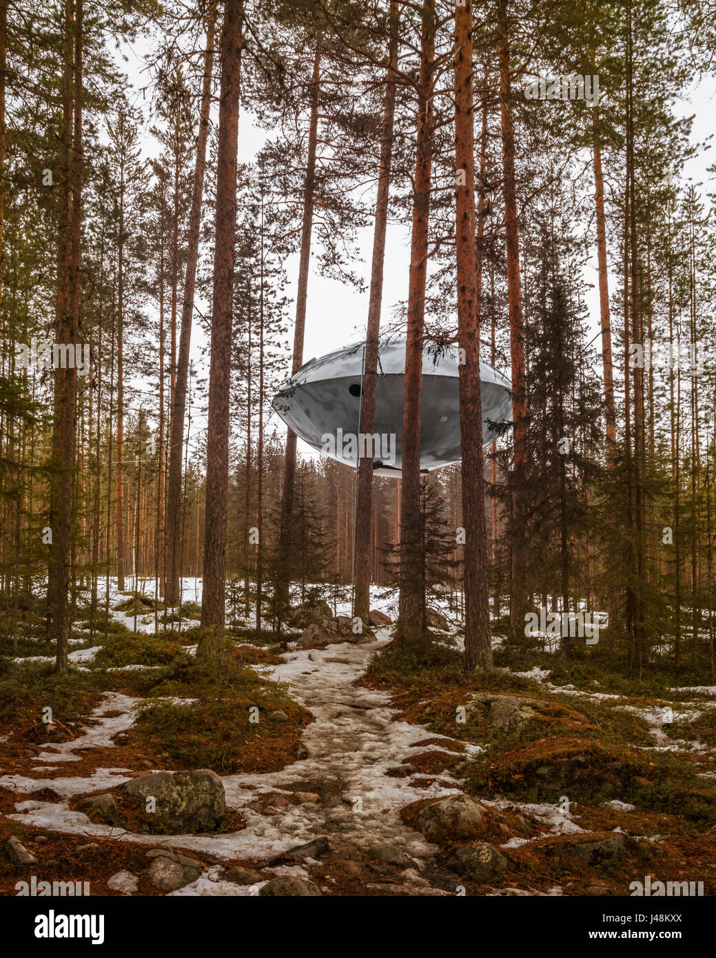Alloggio nei boschi, noto come l'UFO al Tree Hotel in Lapponia, Svezia Foto Stock