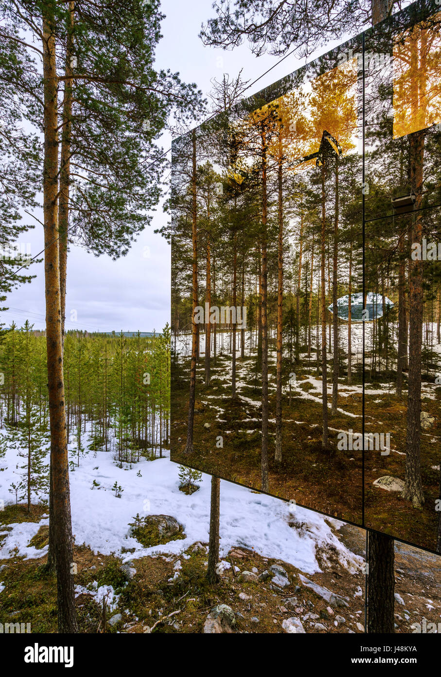 Alloggio nei boschi, noto come il cubo di specchio al Tree Hotel in Lapponia, Svezia Foto Stock