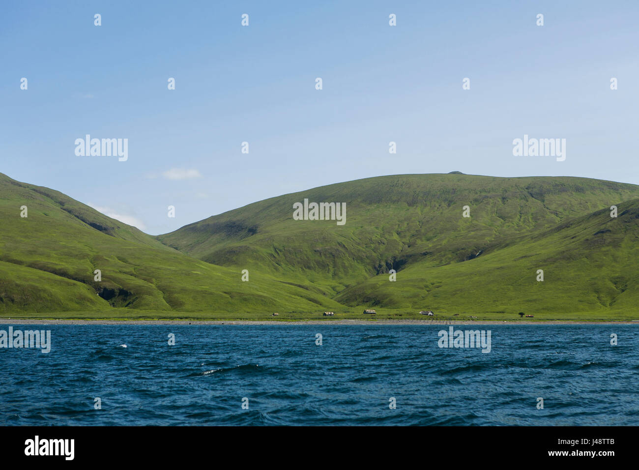 Verdi Rive Di Unimak Island, l'isola più orientale delle Isole Aleutine catena, da Ikatan Bay in estate; Southwest AK, STATI UNITI D'AMERICA Foto Stock