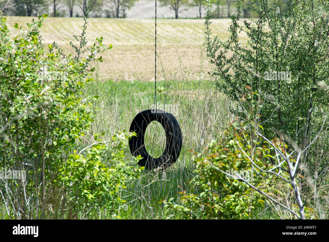 Vecchio tire swing con sfondo di terreni agricoli Foto Stock