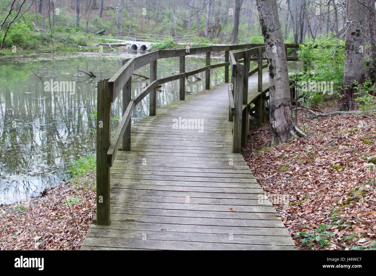 I sentieri e la foresta insieme con le vedute del fiume, lago e stagno. Foto Stock