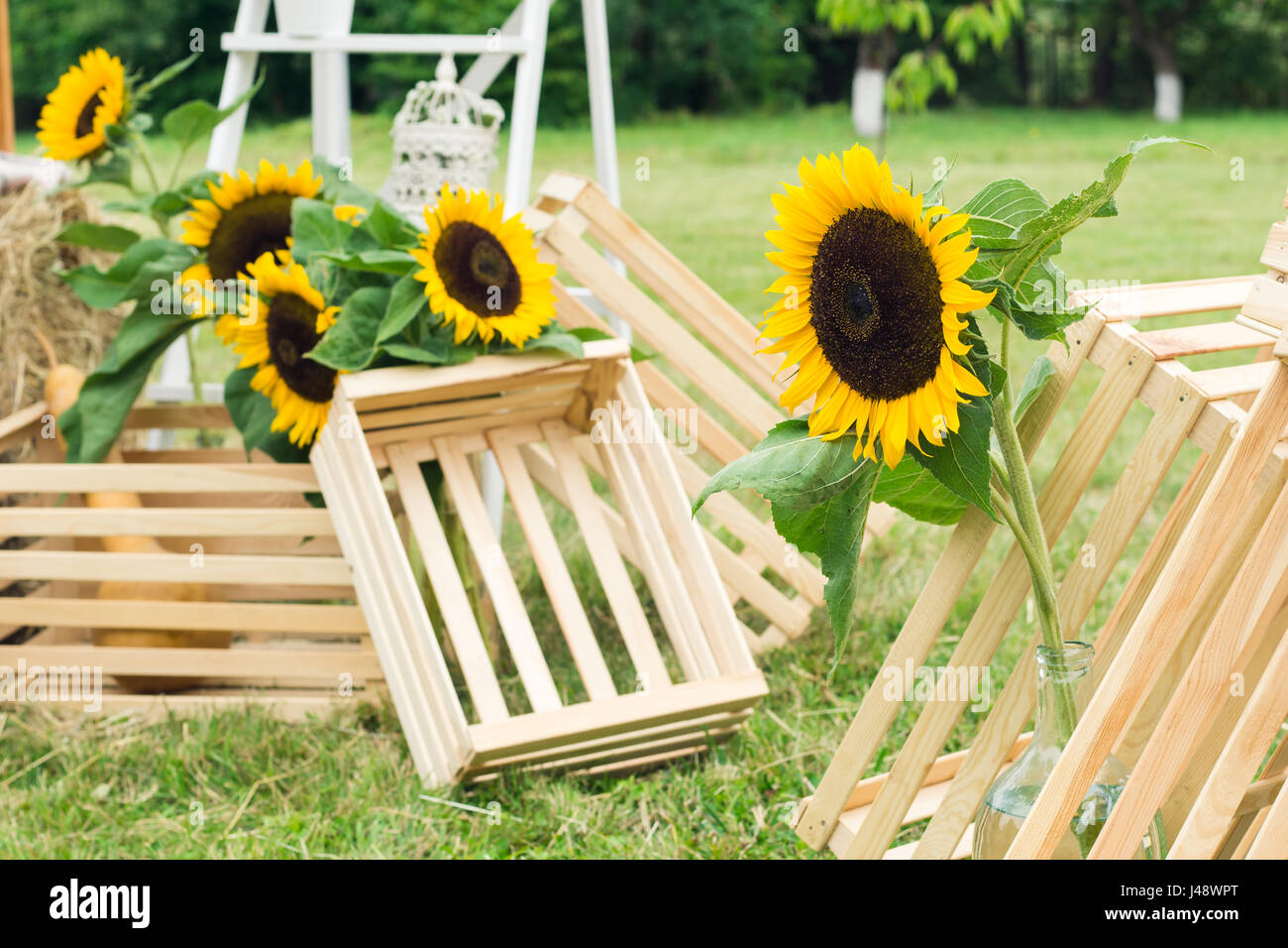 Floristics matrimonio in stile rustico. La realizzazione di un paese in stile wedding utilizzando fiori selvaggi e semi di girasole Foto Stock