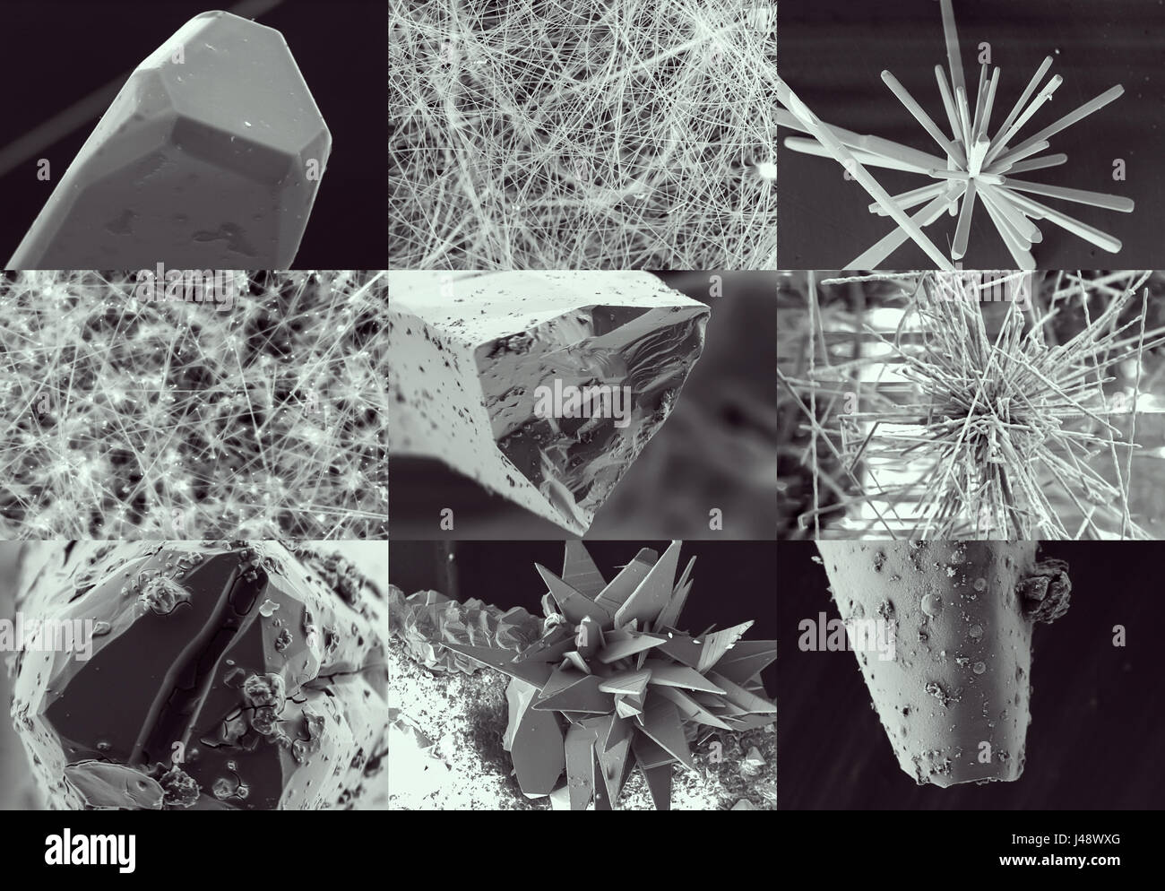 La nanotecnologia collage. Cristallo e baffo nel microscopio. La cristallizzazione o processo di solidificazione vista attraverso il microscopio elettronico con multipl Foto Stock