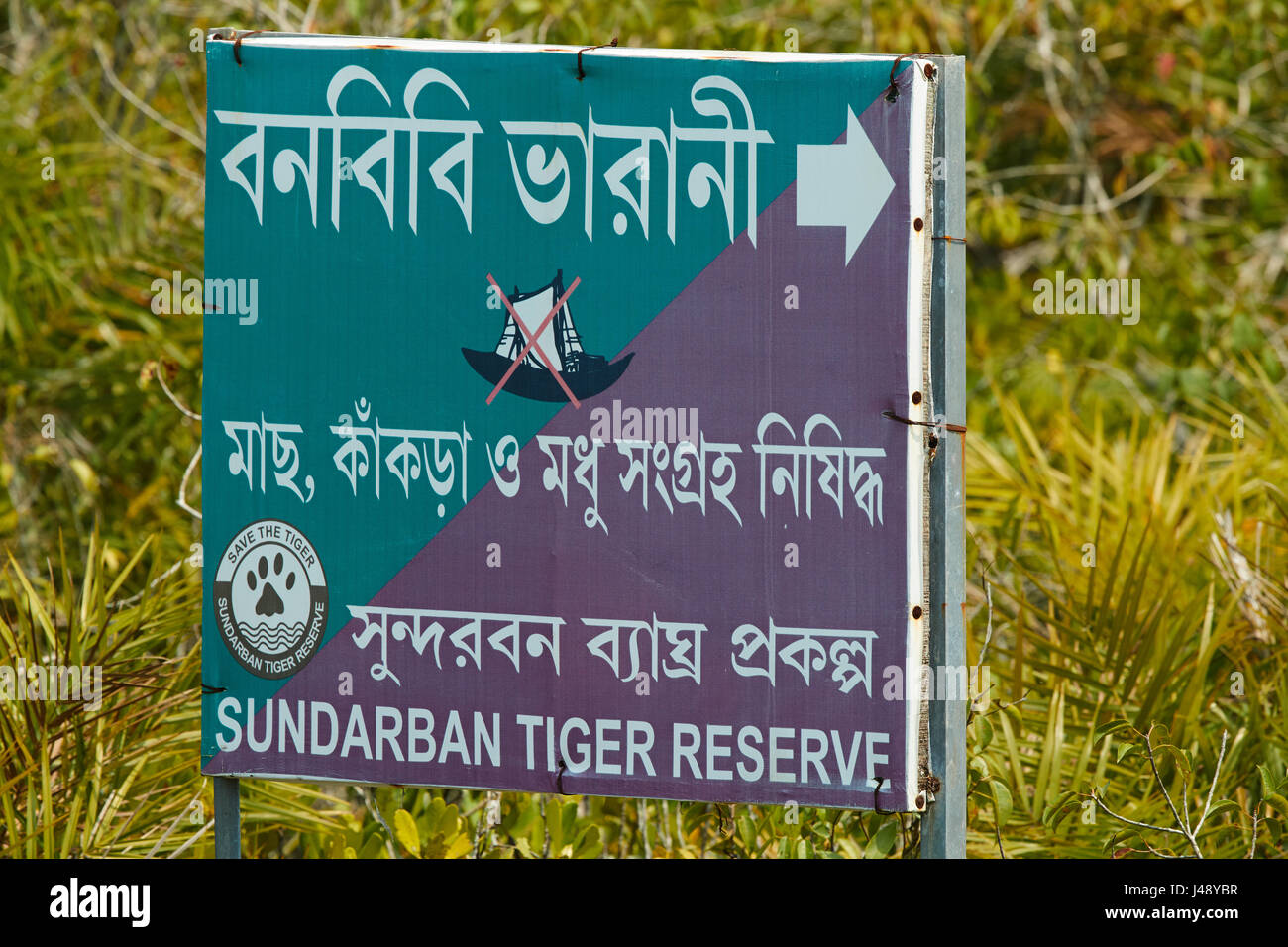 Restrizione della foresta segno bordo in Sundarbans Mangrove forest Foto Stock