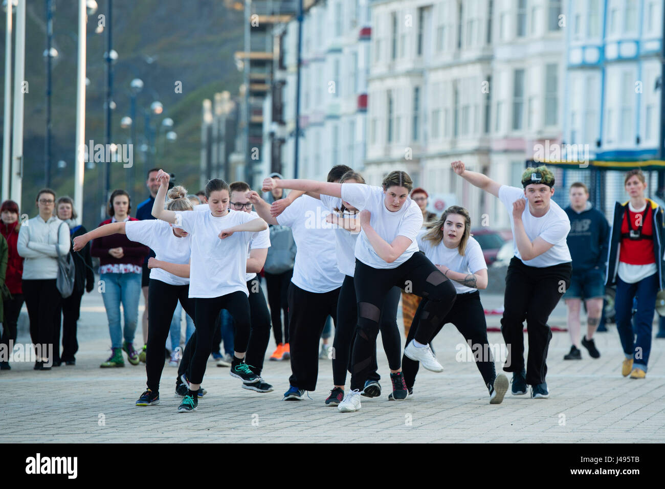 Aberystwyth Wales UK, giovedì 11 maggio 2017 un gruppo di giovani studenti universitari a Aberystwyth University eseguendo una improvvisazione di teatro all'aperto chiamato "Uccelli di una piuma", sulla base delle loro osservazioni del comportamento di uccelli di mare, sul lungomare a Aberystwyth alla prima luce su una fine maggio mattina sulla West Wales coast Photo credit: keith morris/Alamy Live News Foto Stock Aberystwyth Wales UK, giovedì 11 maggio 2017 un gruppo di giovani studenti universitari a Aberystwyth University eseguendo una improvvisazione di teatro all'aperto chiamato "Uccelli di una piuma", sulla base delle loro osservazioni del comportamento di uccelli di mare, sul lungomare a Aberystwyth alla prima luce su una fine maggio mattina sulla West Wales coast Photo credit: keith morris/Alamy Live News Foto Stock