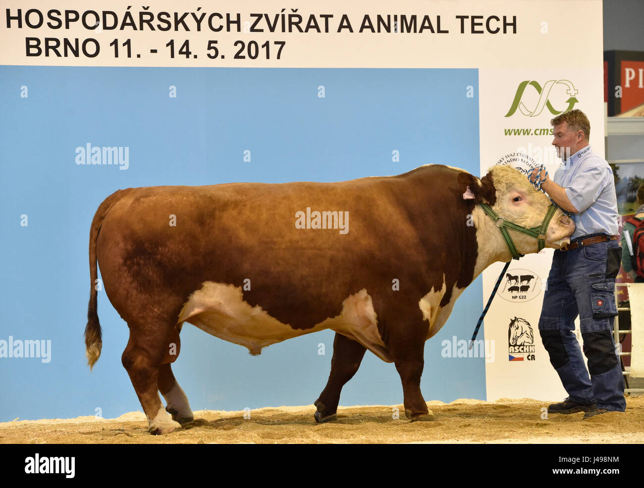 Brno, Repubblica Ceca. 11 Maggio, 2017. Esposizione Nazionale di animali da allevamento e la produzione animale Animali equo Tech, gamekeeping nazionale mostra e fiera di vita sostenibile in campagna NATUR EXPO BRNO a Vystaviste Brno, in Repubblica ceca, 11 maggio 2017. Credito: Vaclav Salek/CTK foto/Alamy Live News Foto Stock