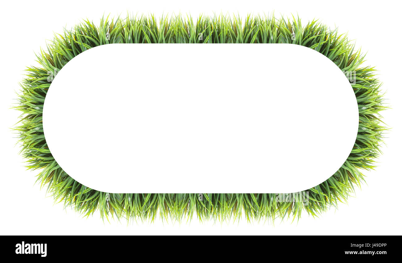 Erba verde cornice su sfondo bianco con spazio per il testo Foto Stock