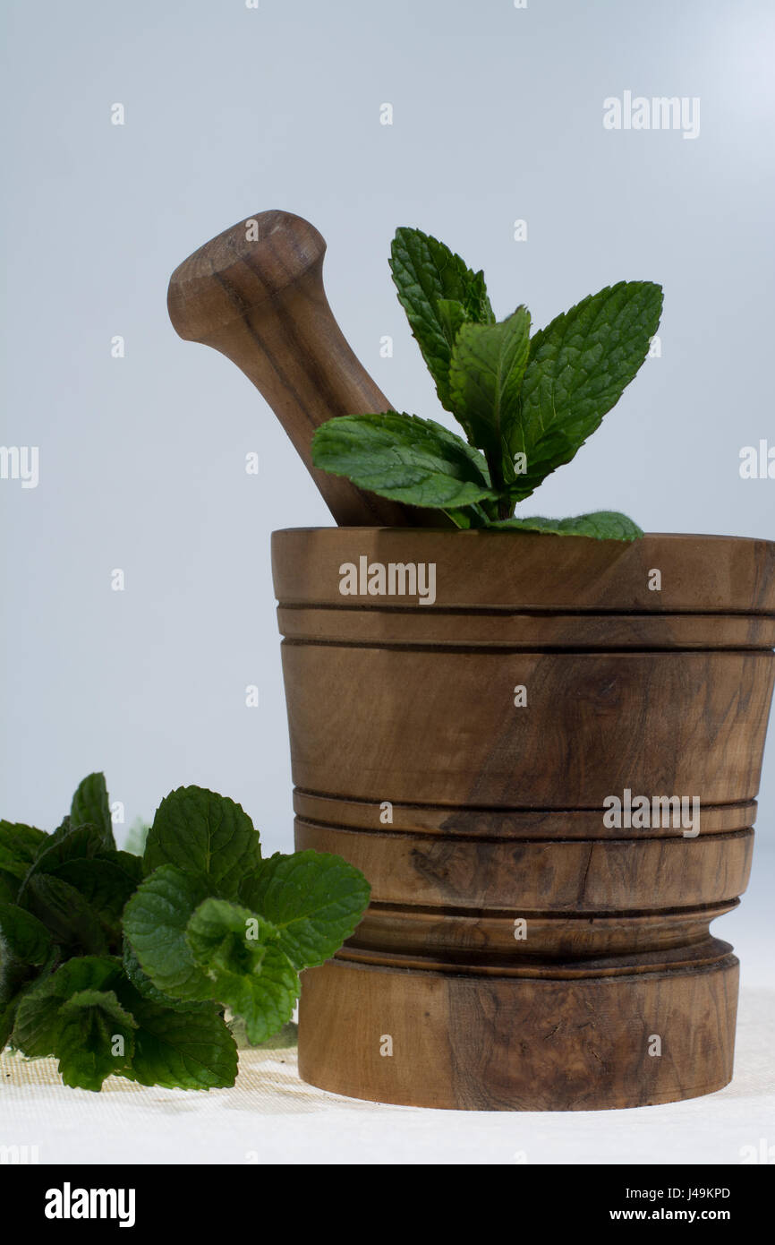 Fresco verde menta in legno d'olivo mortaio Foto Stock