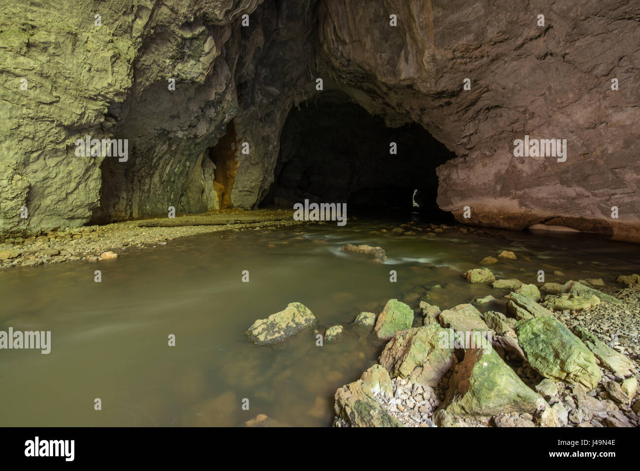 New Scenic 5 posti il fiume sotterraneo Rak in protetta Unesco Parco nazionale Rakov Skocjan in Slovenia Foto Stock