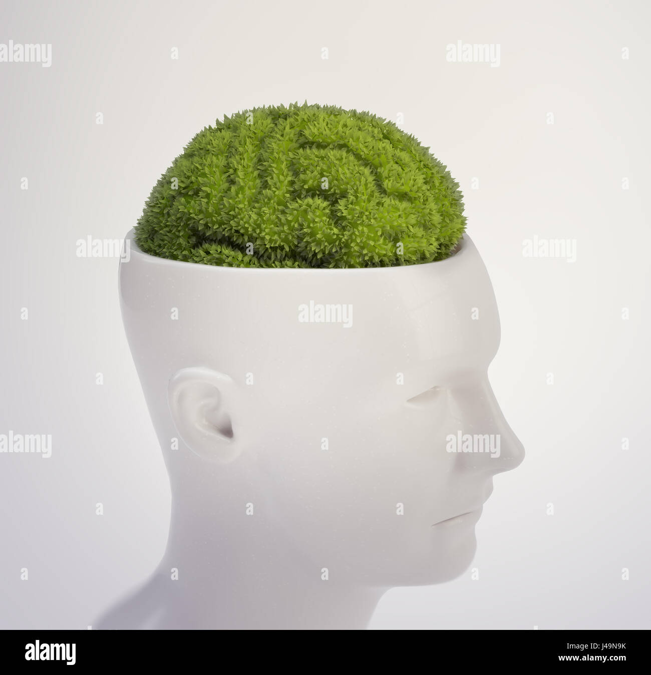 Impianto sagomata come un cervello umano - intelligenza e il concetto di memoria 3D illustrazione Foto Stock