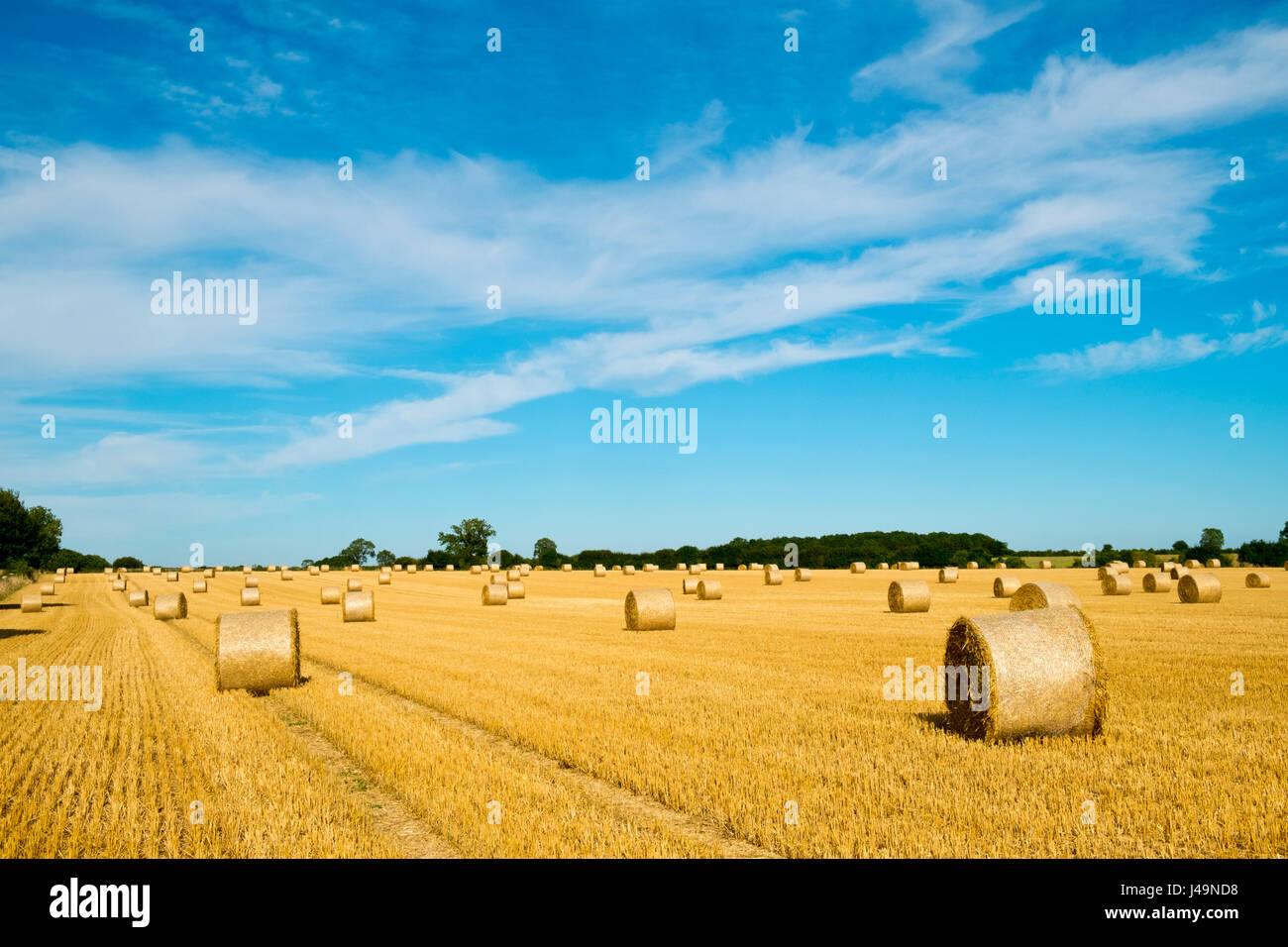 Fine estate raccolto campo paesaggio vicino Tetbury, Gloucestershire, Regno Unito Foto Stock