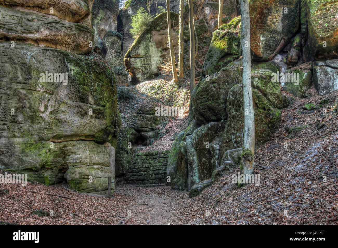 Sentiero escursionistico in Paradiso Boemo - Il Paradiso Boemo è l'Area Naturale Protetta. Essa è stata dichiarata nel 1955 è stata la prima riserva naturale della Repubblica ceca Foto Stock