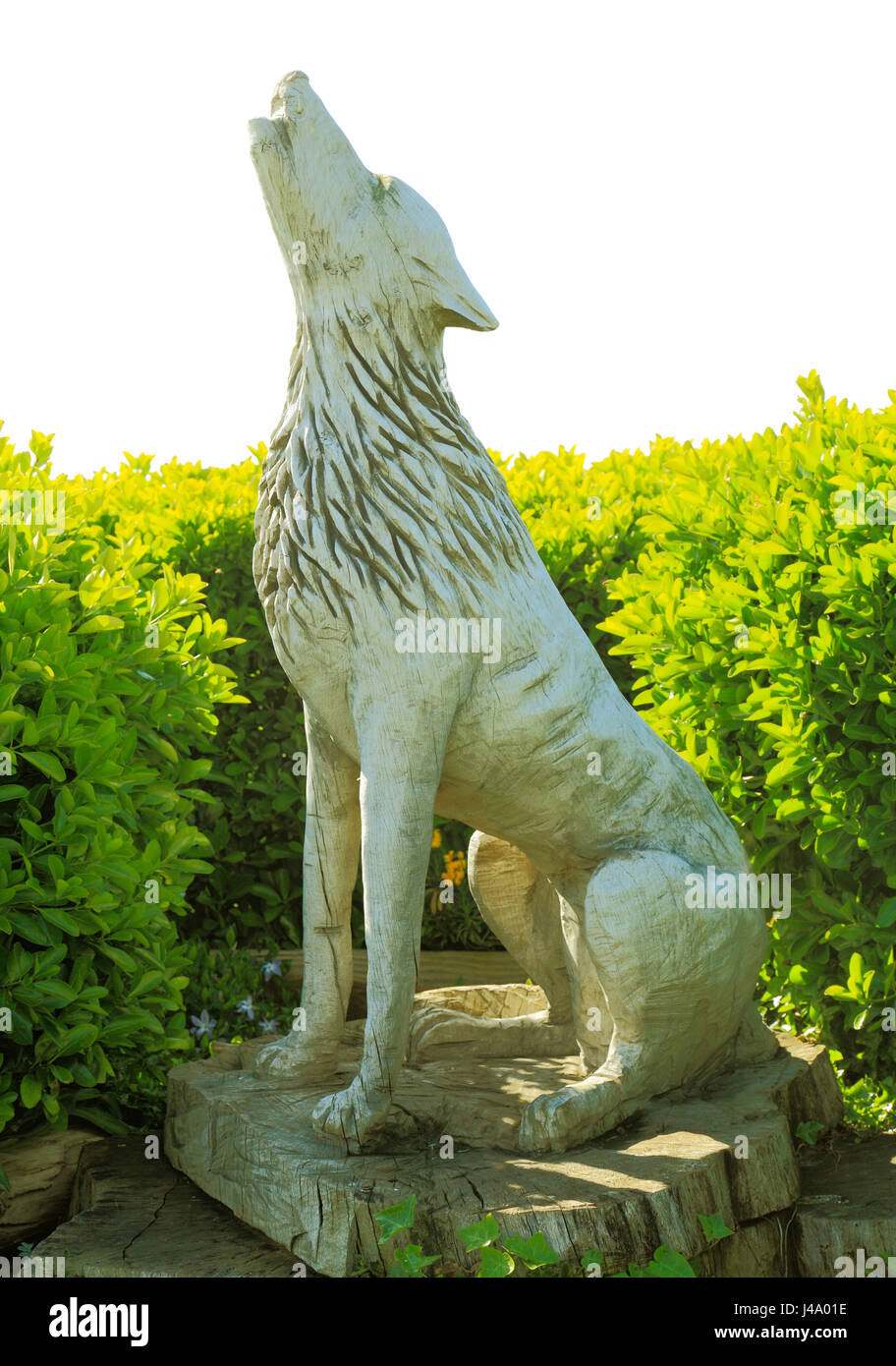 Old Hunstanton, Monumento al leggendario Wolf che custodiva San Edmund la testa tagliata. Scolpita in legno di quercia figura, Norfolk, Inghilterra, Regno Unito Foto Stock