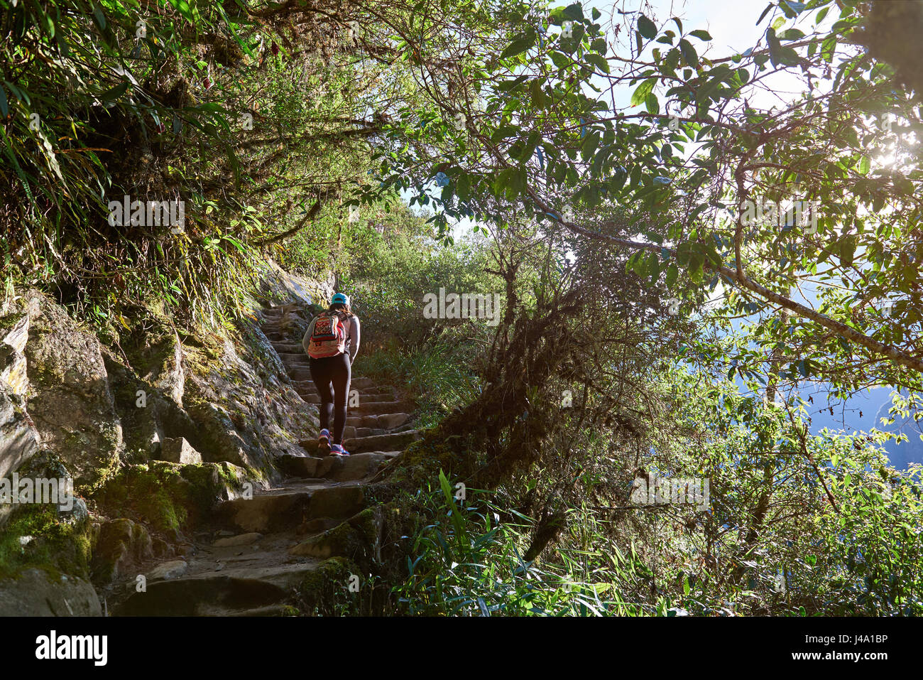 Escursionismo donna nella foresta a piedi sulla luce di sole al giorno. Viaggi natura avventura Foto Stock