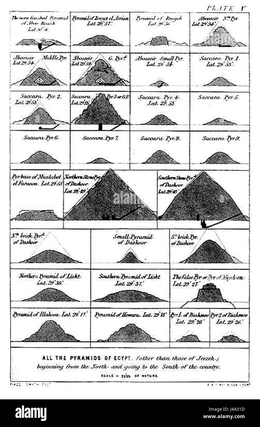 Piastra di Piazzi 5 Foto Stock