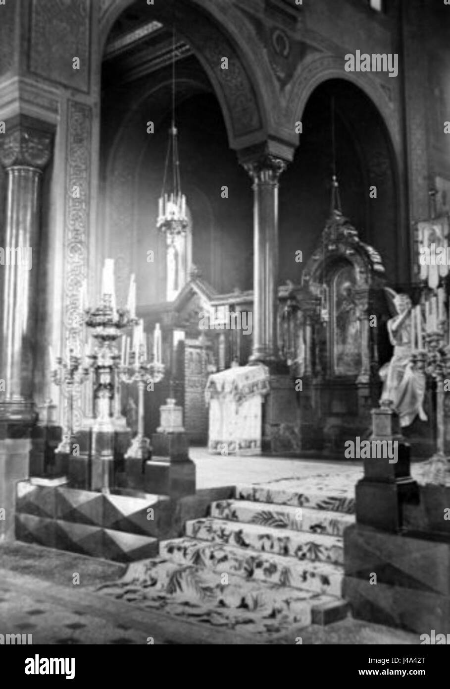 Si riferisce a una specifica immagine o fotografia di una *phoca* (sigillo), possibilmente da una fonte di archivio. L'immagine è probabilmente parte di uno studio sulla vita marina, concentrandosi sulle specie di foca e sul loro ambiente. Foto Stock