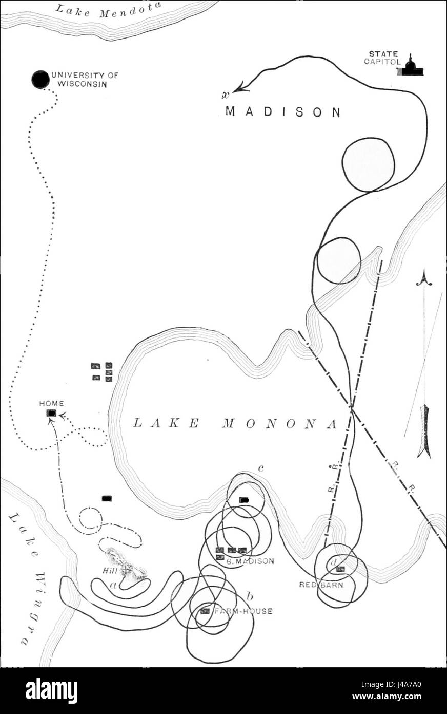 Questa immagine raffigura tre voli successivi del piccione numero 2, catturandone il movimento e il comportamento durante il volo. Fa parte di un'osservazione scientifica della locomozione aviaria. Foto Stock