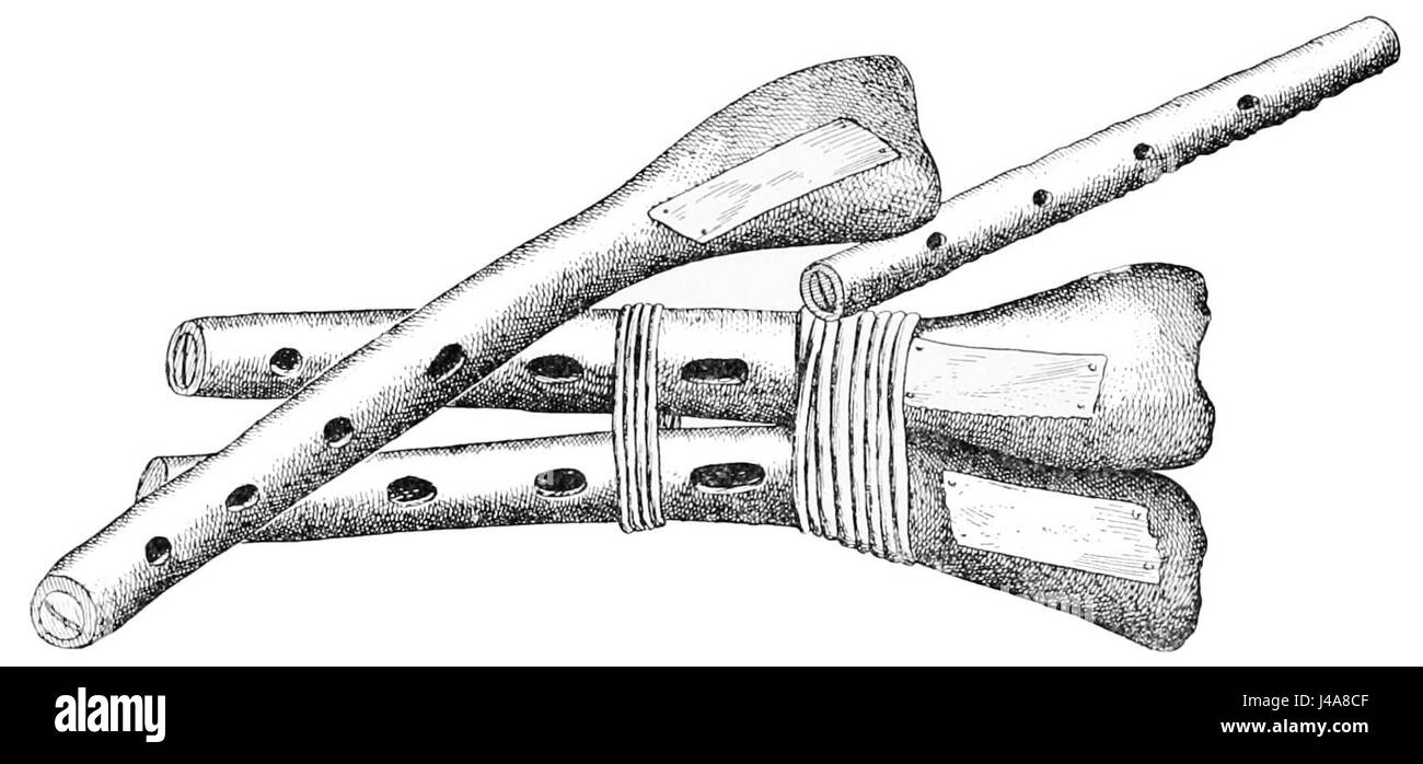 Una rappresentazione della pubblicazione "PSM V48 D732", che illustra vari strumenti musicali trovati sull'isola di San Clemente nel 1895, che fa luce sul patrimonio culturale e sulla musica tradizionale della regione. Foto Stock