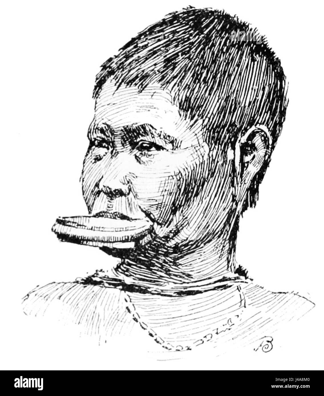 L'immagine mostra una donna Botocudo, un gruppo indigeno del Brasile, catturata in un'illustrazione dal Popular Science Monthly, volume 43, datato 1893. I Botocudo sono noti per le loro distinte pratiche culturali e le tradizionali modifiche del corpo. Foto Stock
