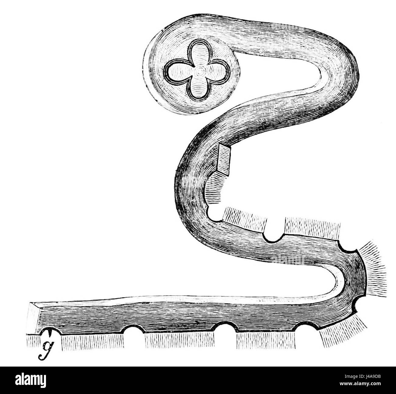 L'illustrazione del PSM V14 D323 raffigura una striscia a spirale di gangli, che mostra la struttura del tessuto nervoso nel corpo. Il diagramma fornisce informazioni sull'organizzazione dei gangli e sul loro ruolo nel sistema nervoso. Foto Stock