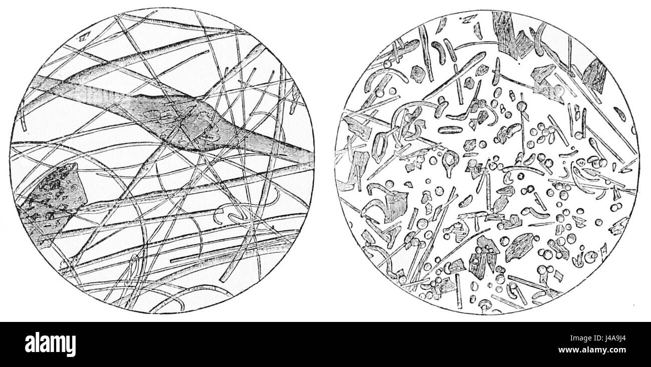 Questa immagine mostra la vista microscopica dei peli di pele, una forma di fibre di vetro vulcaniche, con livelli di ingrandimento di 15x e 100x. Queste fibre, formatesi durante le eruzioni vulcaniche, hanno una struttura delicata, simile a un filo e sono comunemente associate all'attività vulcanica. Foto Stock