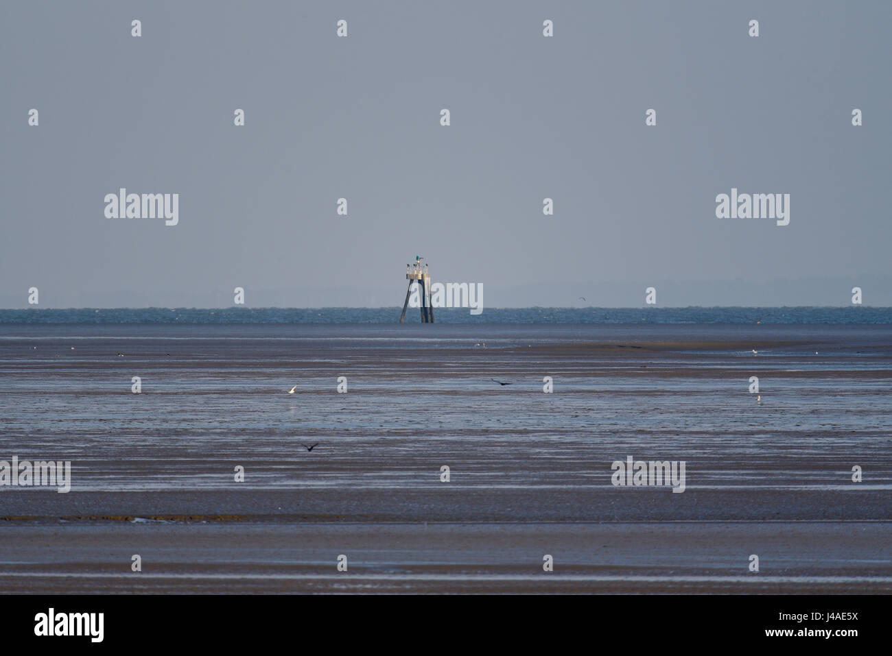 Torre faro di navigazione avviso del banco di sabbia di Knock al largo di Shoeburyness nell'estuario del Tamigi con litorale in bassa marea, uccelli Foto Stock