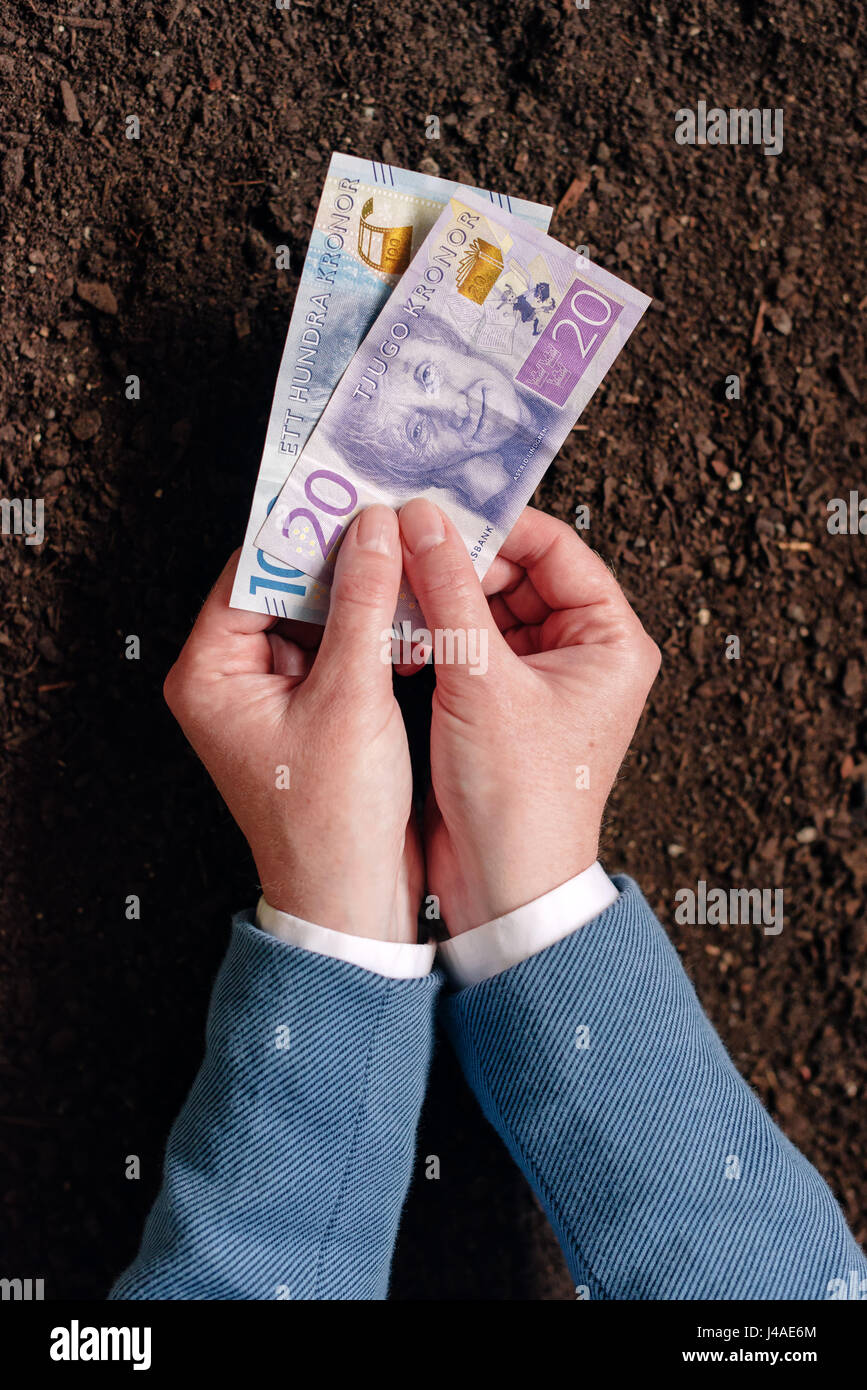 NOVI SAD SERBIA - Maggio 05, 2017: prestito bancario in moneta svedese SEK per agribusiness startup, mano offrendo denaro contante banconote come credito e allowanc Foto Stock