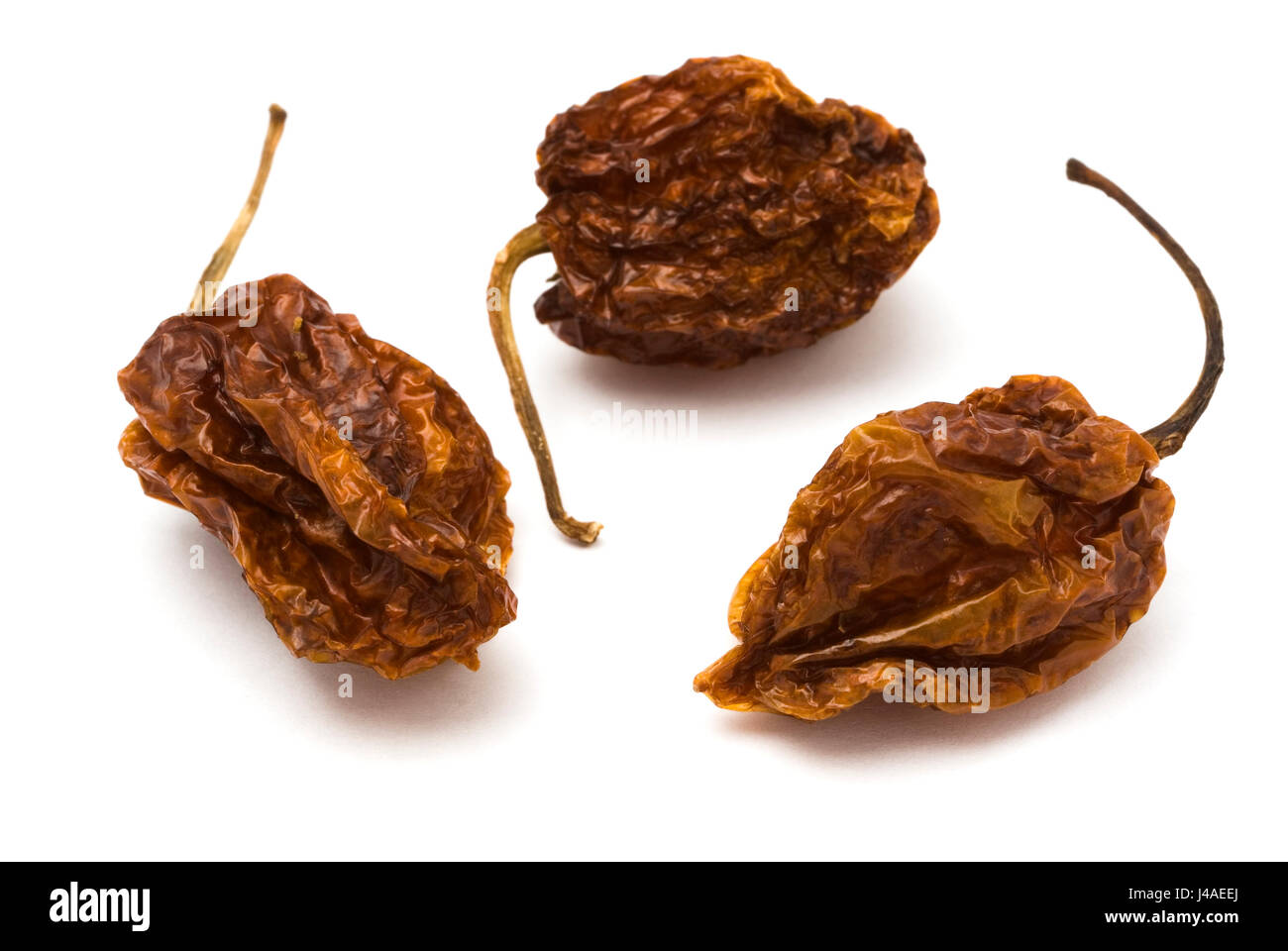 Habanero affumicato Foto Stock