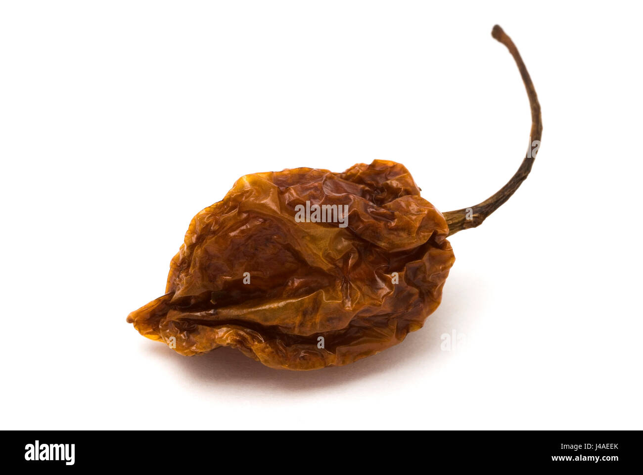 Habanero affumicato Foto Stock