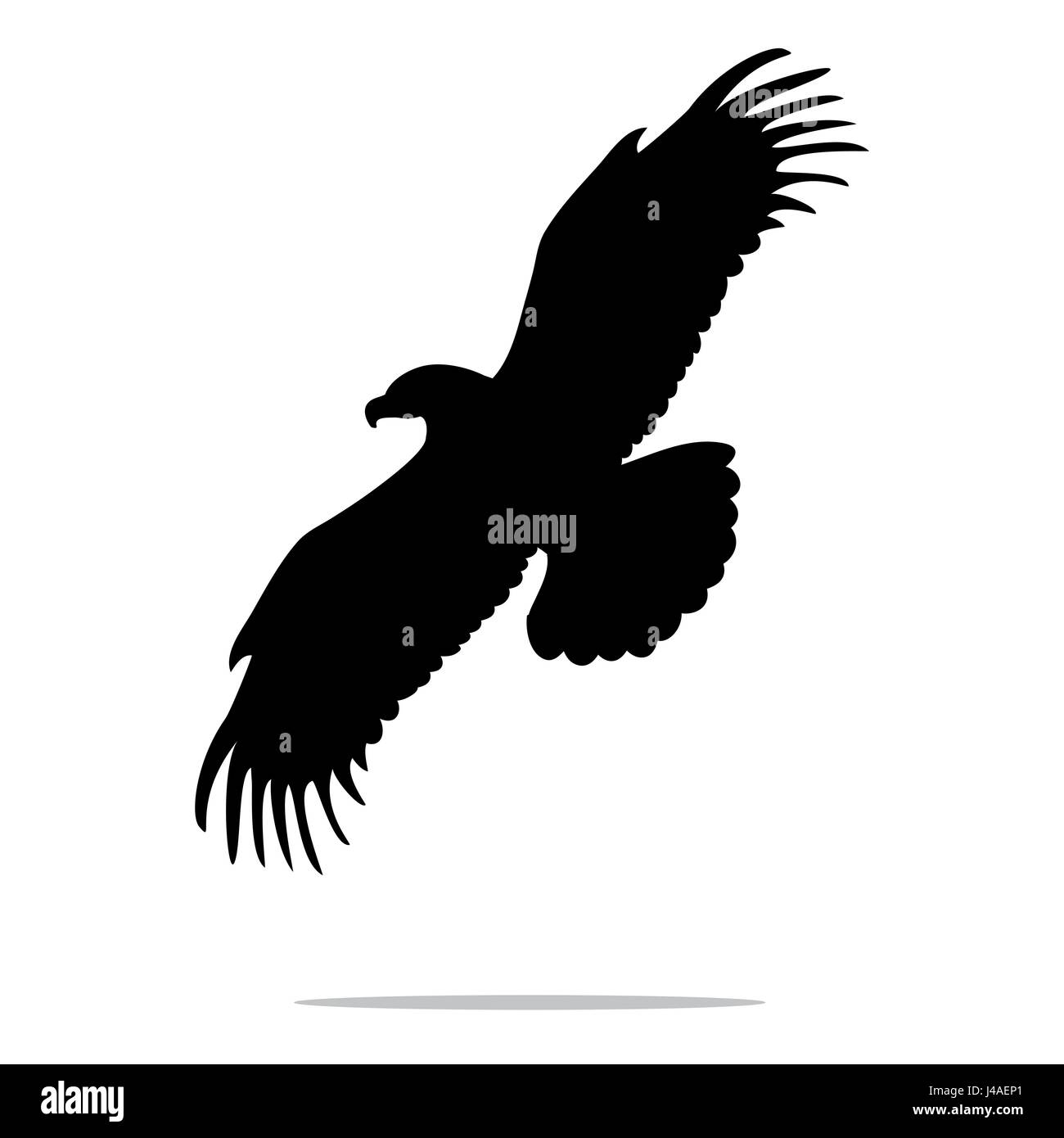 Eagle bird nero animale silhouette Illustrazione Vettoriale