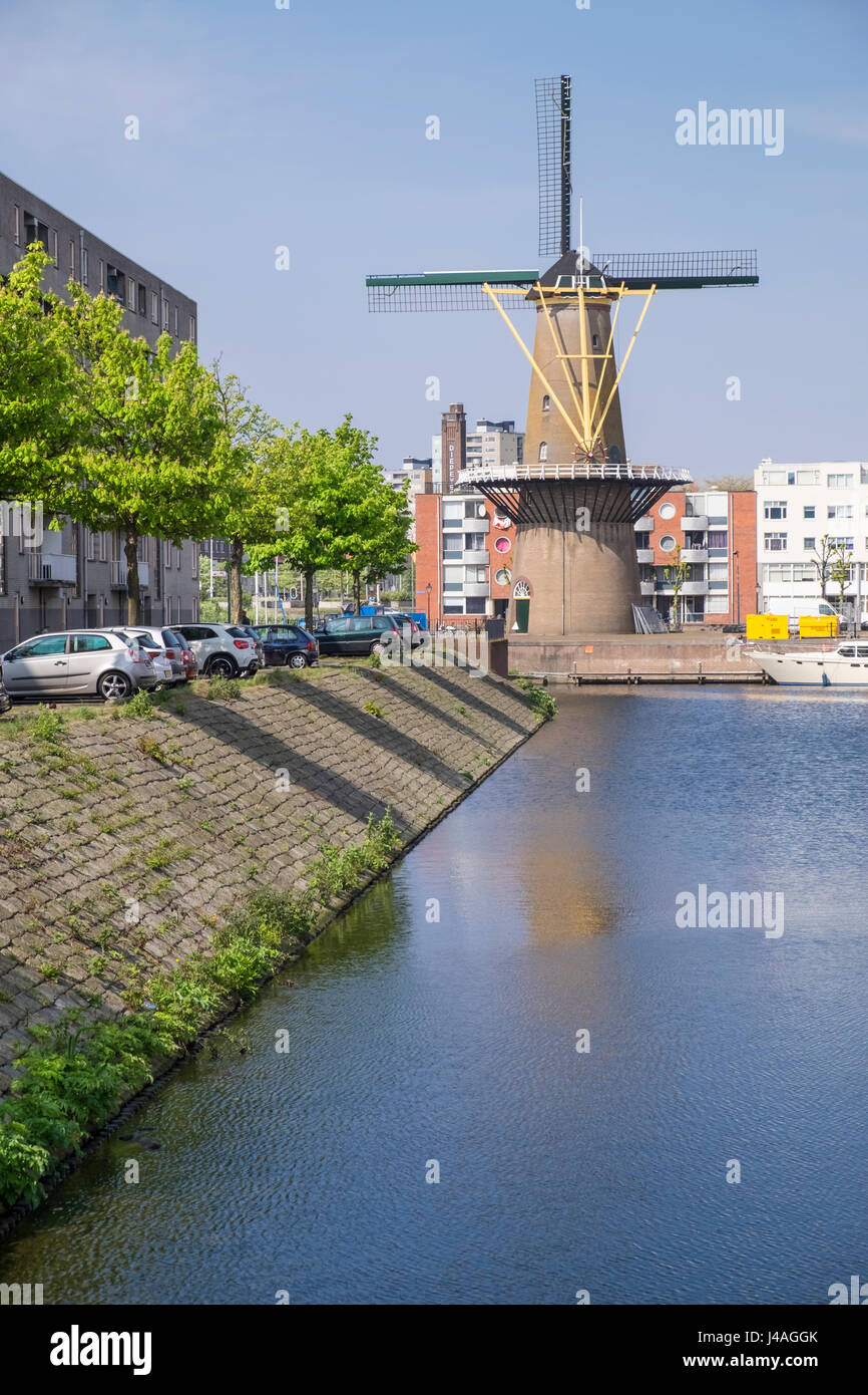 Il mulino a vento a Delfshaven, Rotterdam, Paesi Bassi. Foto Stock