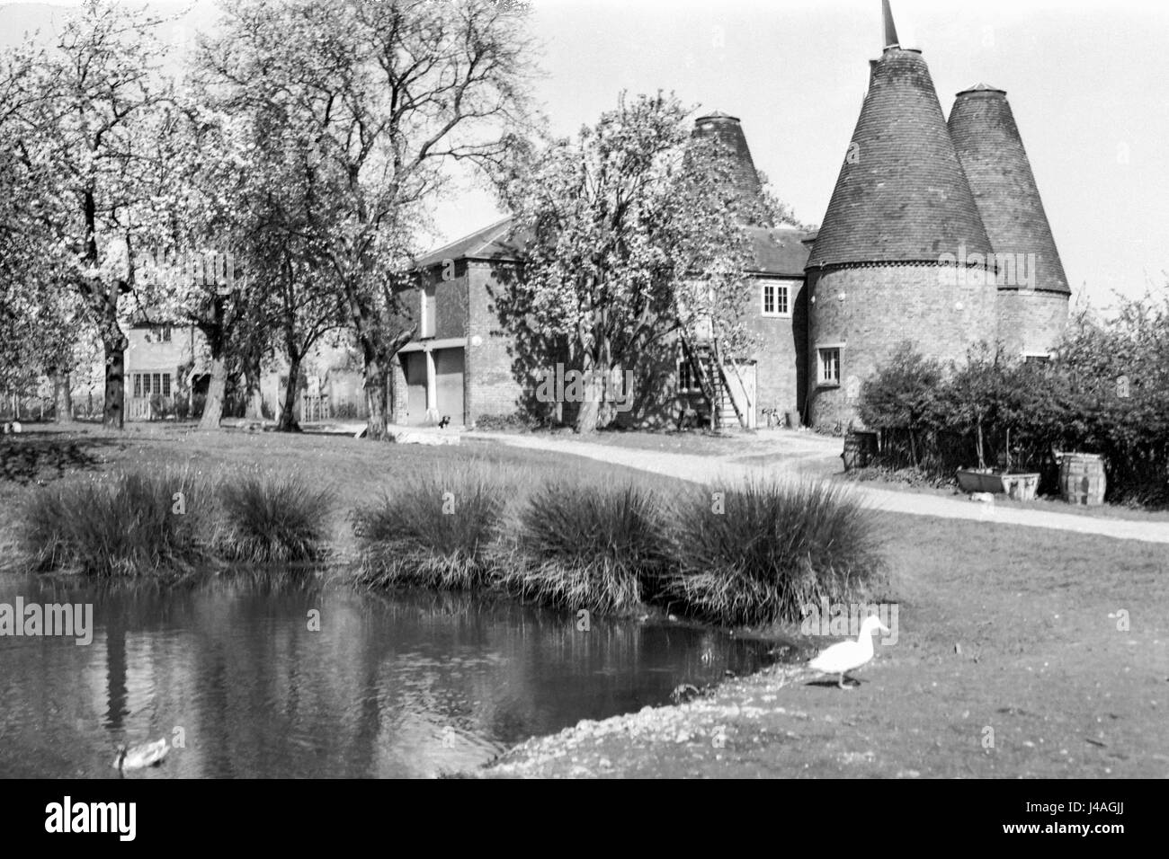 Forno Oast House Newington Kent e un grande stagno adottate nel 1923 Foto Stock