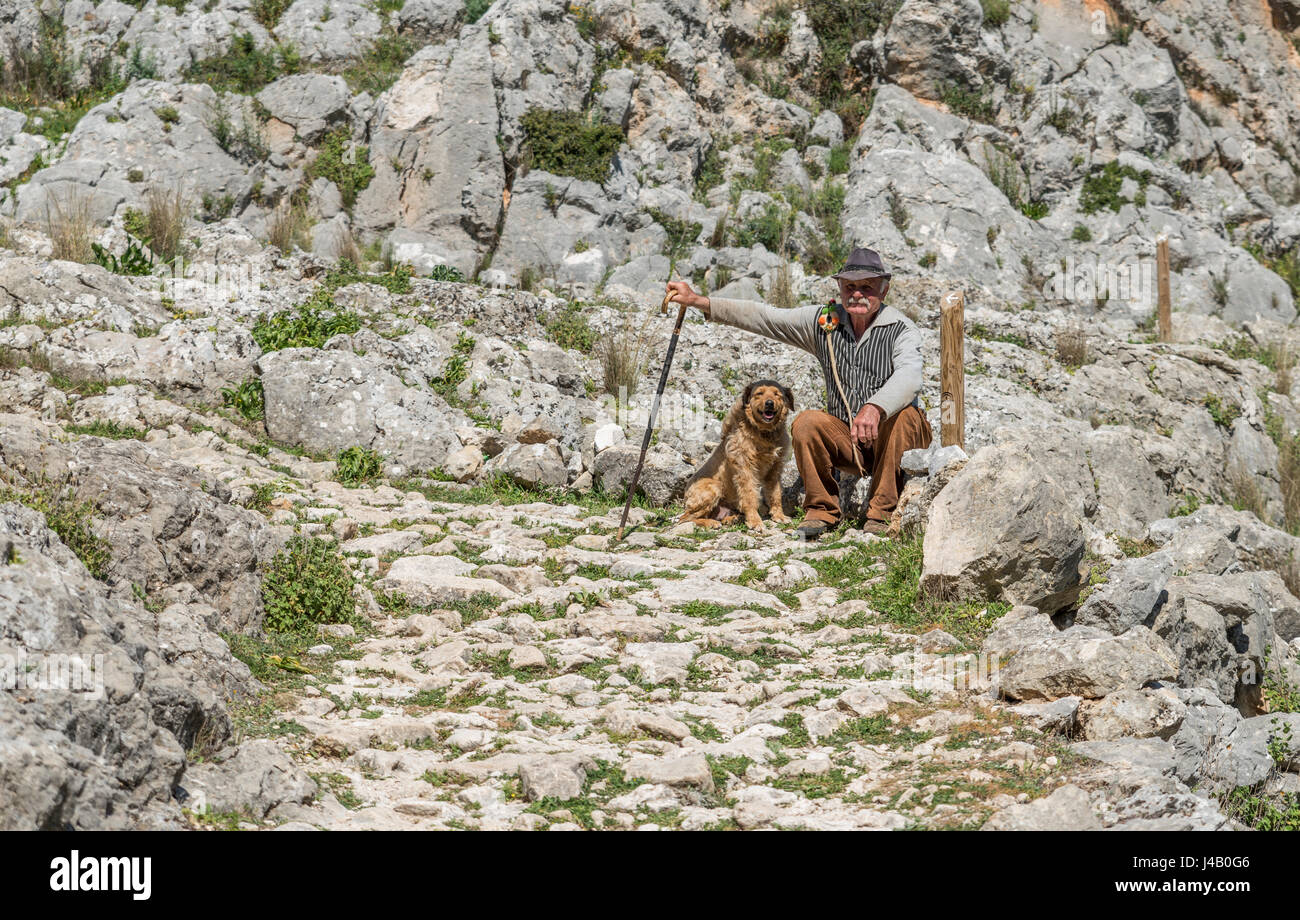 Pecore pastore nella tradizione spagnola con vestiti in un cane in andalusia parte della Spagna Foto Stock