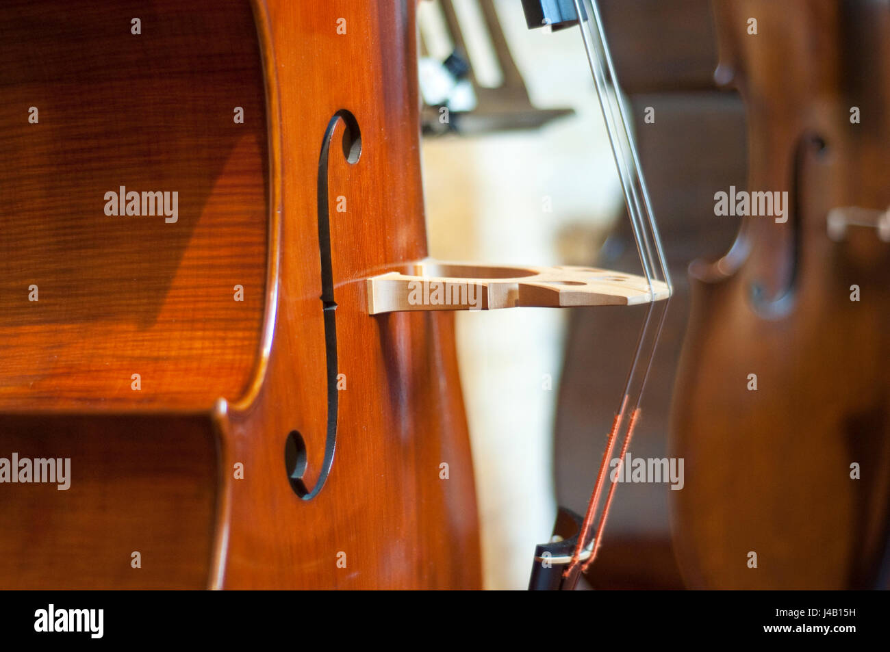 Close-up di contrabbasso, legno strumento musicale Foto Stock