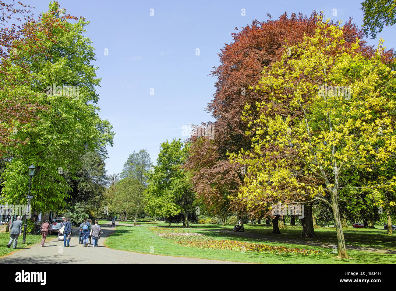 Gruppo di persone fuori per una passeggiata su una soleggiata giornata di primavera in Abington park, Northampton. Foto Stock