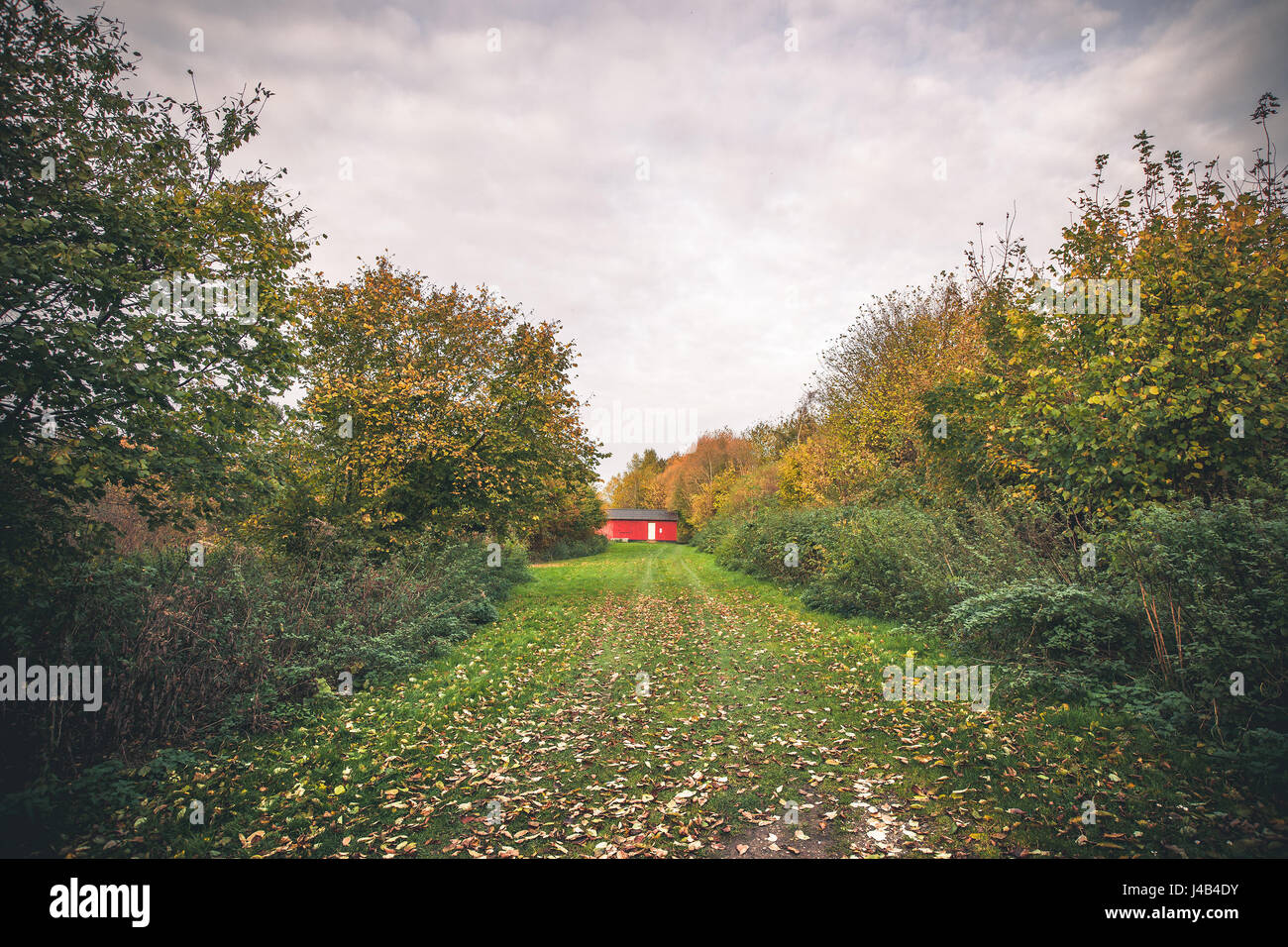 Piccola cabina rosso in un giardino in autunno con foglie di autunno in erba Foto Stock