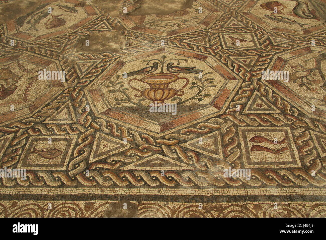 Israele, Lod, 1.700 anni di mosaico che è stata la pavimentazione del cortile della magnifica villa che era il famoso mosaico di Lod nel suo soggiorno Foto Stock