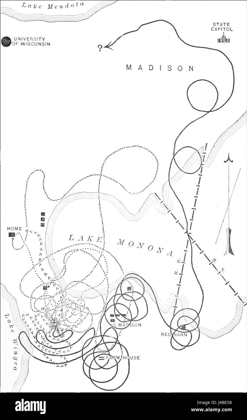 Questa immagine del PSM V44 D779 mostra sei piccioni che volano fuori da una gabbia coperta, simboleggiando temi di libertà e movimento, ed è parte di un'esplorazione del comportamento aviario. Foto Stock