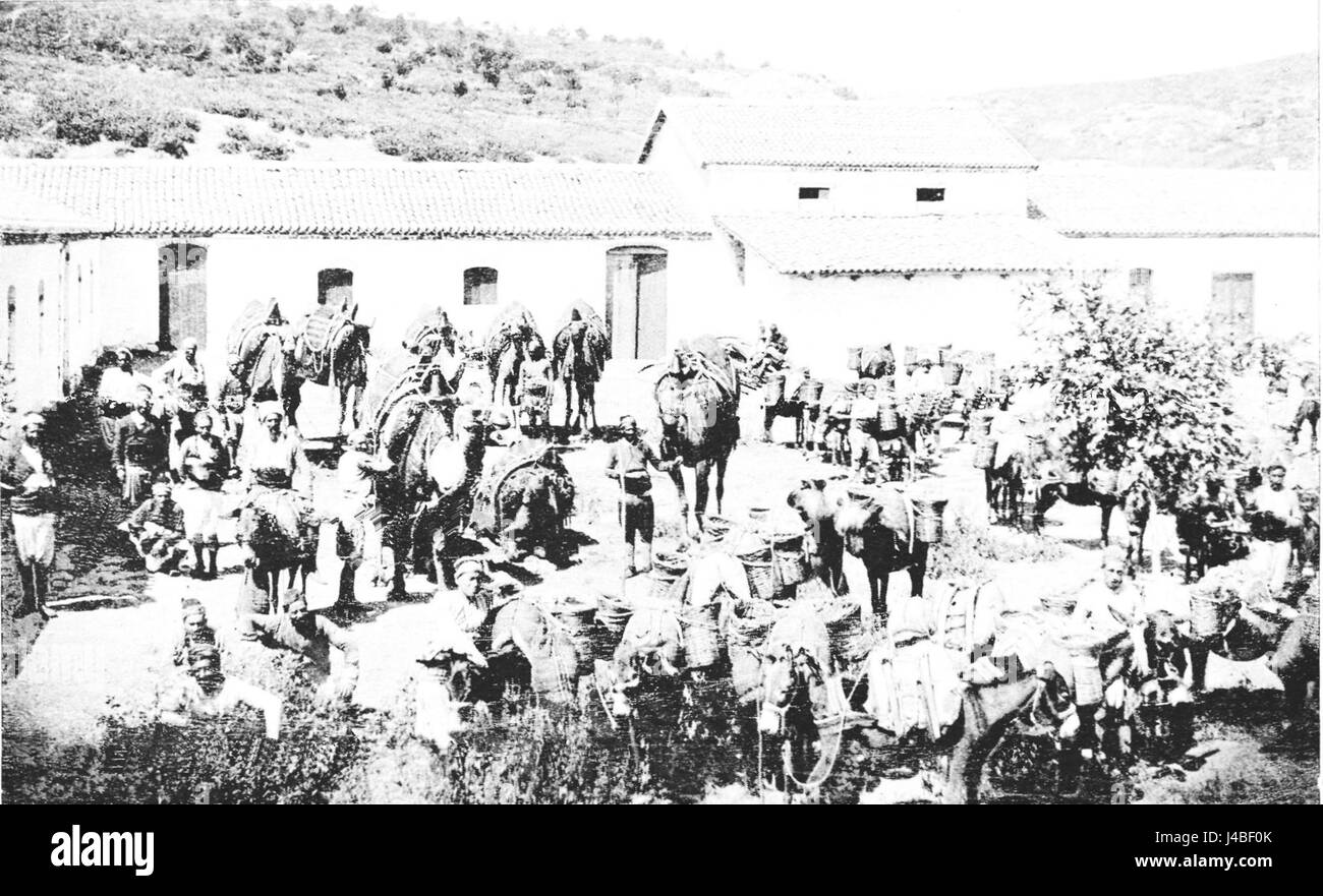 PSM V43 D202 giorno di mercato in un villaggio yuruk Foto Stock