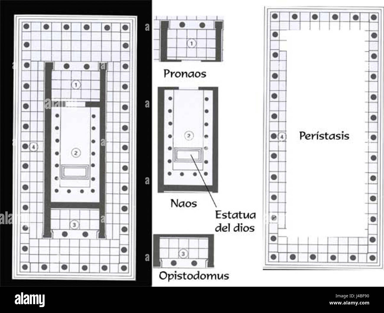 Planta templo atenea Foto Stock