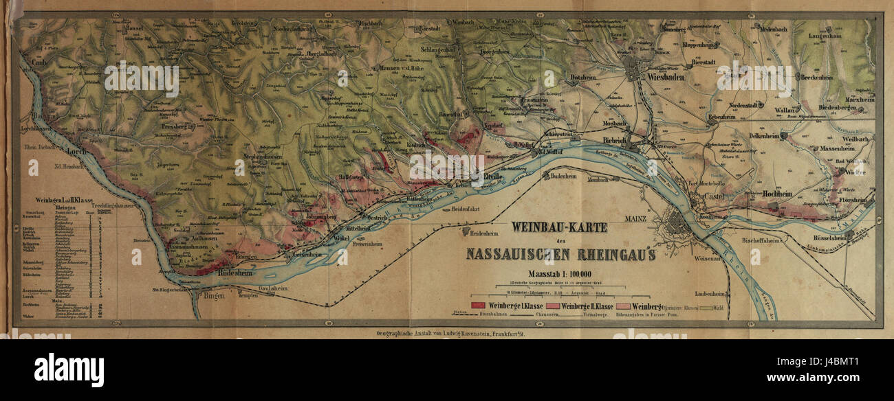 La regione di Rheingau in Germania è nota per la sua produzione vinicola, in particolare Riesling. Nel 1867, l'area è stata celebrata per i suoi vigneti e la cultura del vino, diventando una parte fondamentale della storia vitivinicola dell'countryÂ. Foto Stock