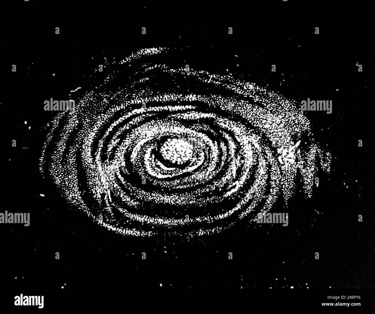 Questa illustrazione del PSM V03 D143 dimostra la transizione da una spirale a una formazione anulare, fornendo una rappresentazione visiva dei principi scientifici nel mondo naturale. Foto Stock