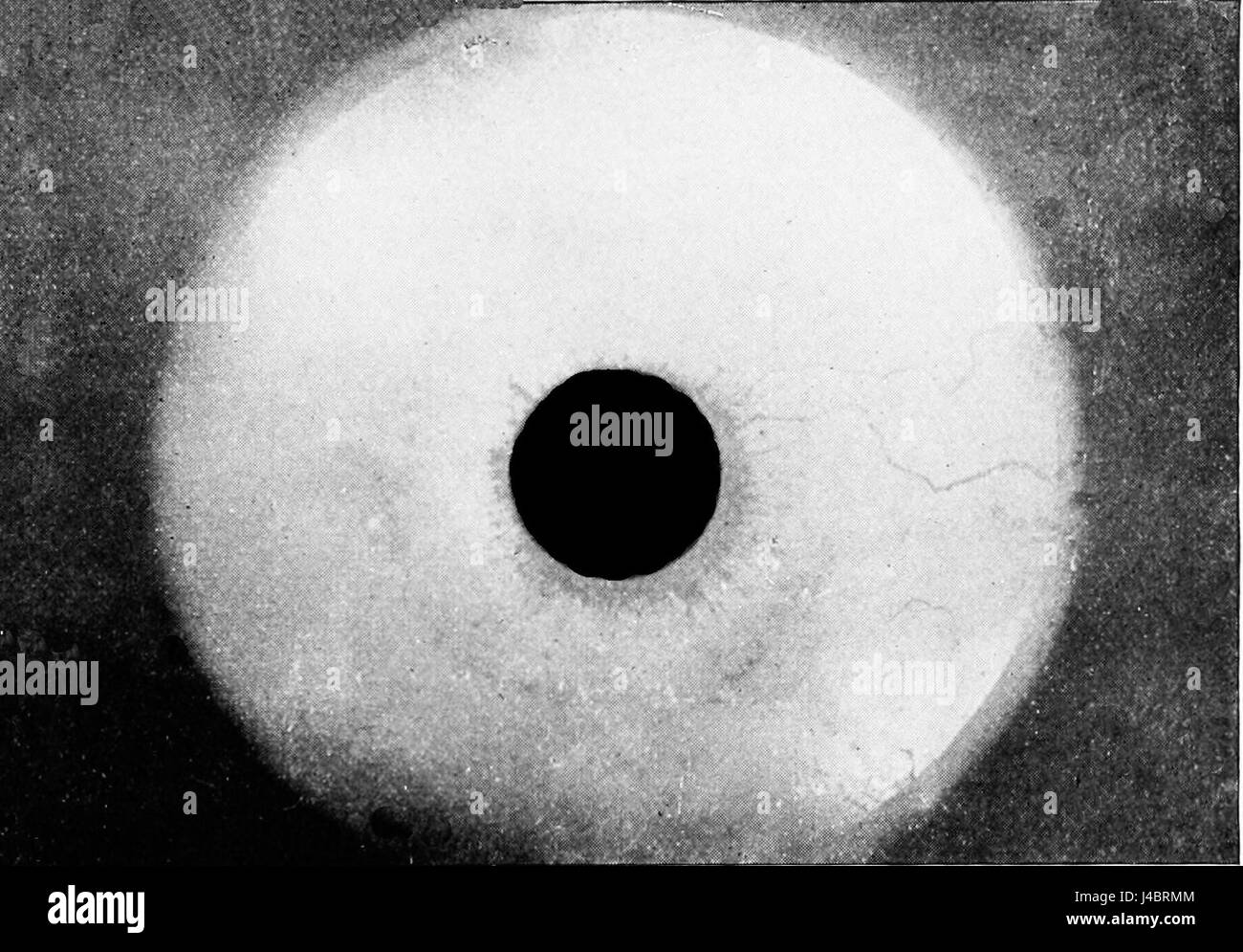 PSM V49 D327 imitazione del solar chromosphere e corona Foto Stock