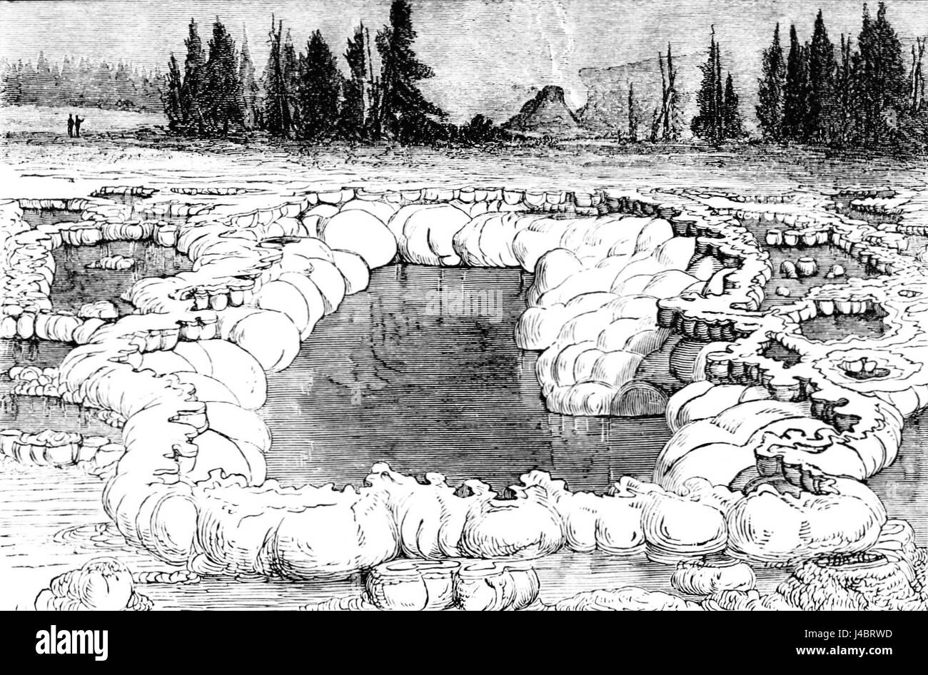 PSM V12 D424 caratteri ornamentali del confine geyser Foto Stock