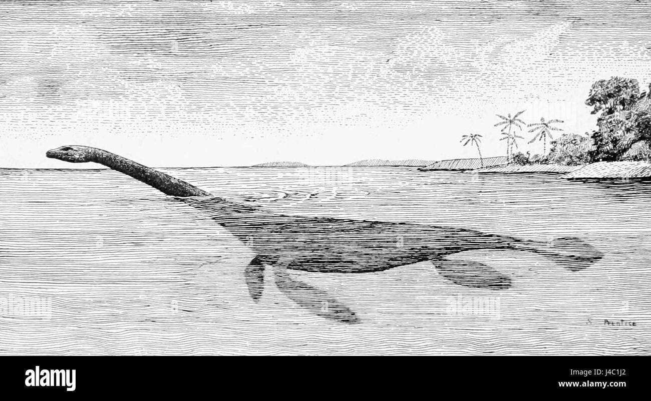 Questa immagine si riferisce a un restauro di un plesiosauro, un rettile marino preistorico, come illustrato da S.W. Williston. Williston era noto per il suo lavoro sui restauri fossili in paleontologia. Foto Stock