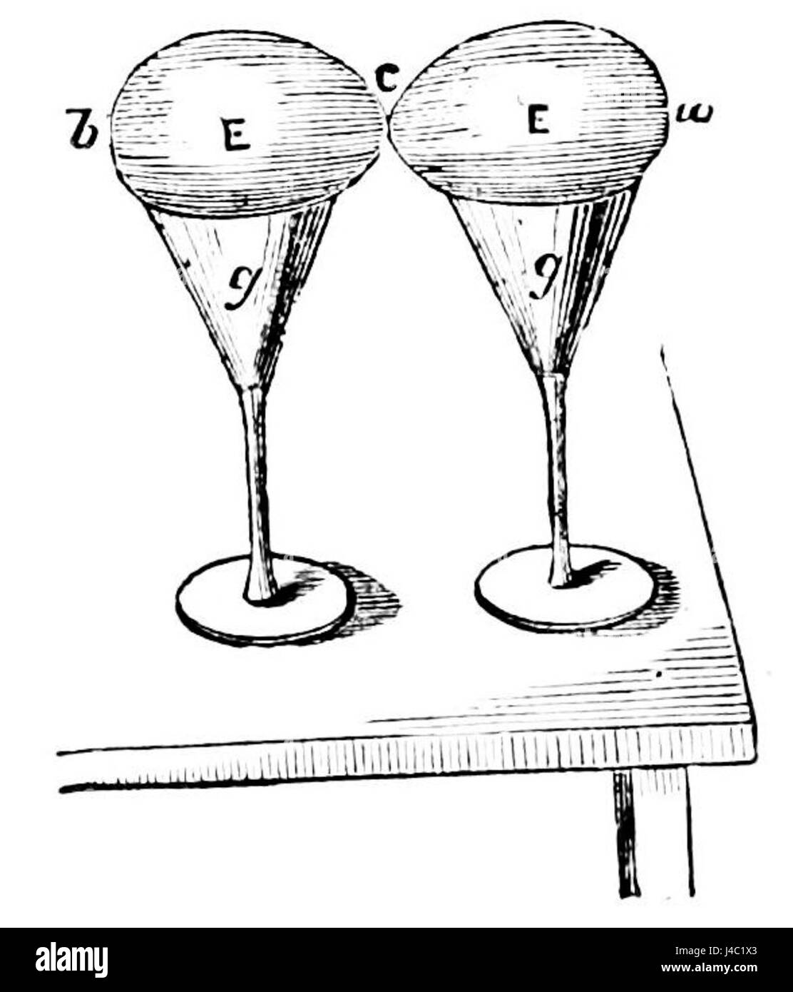 Questa illustrazione del PSM V09 D180 illustra i principi fondamentali dell'elettricità, mostrando le forze di attrazione e di repulsione tra le diverse cariche elettriche. Fornisce un aiuto visivo nella comprensione delle forze elettriche come parte dello studio scientifico. Foto Stock